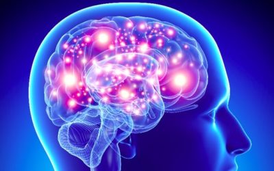 What does TMS do to the brain?